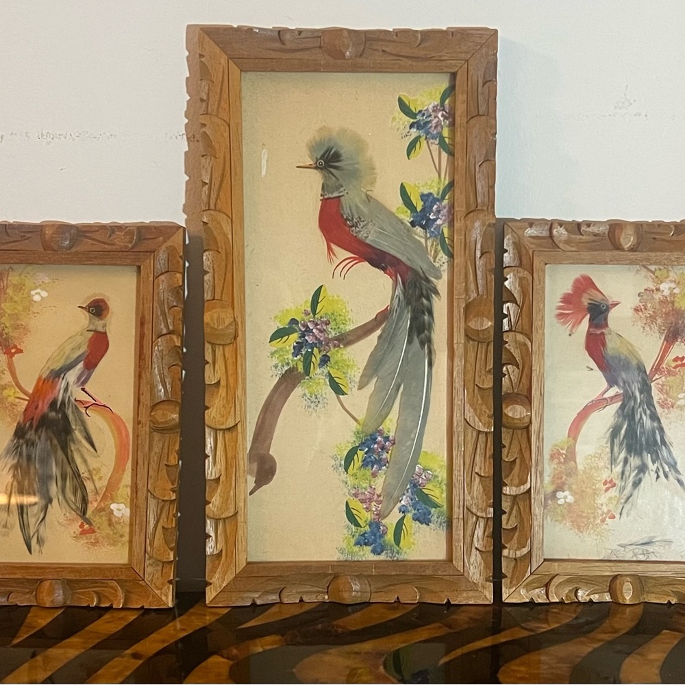 Mixed Media Bird Pictures with Carved Wooden Frames